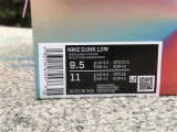 Authentic Nike Dunk Low Purple/Muilti-Color