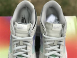 Authentic Nike Dunk Low Purple/Muilti-Color