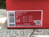 Authentic Nike Dunk Low WMNS “The Future is Equal”