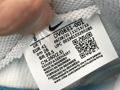 Authentic Nike Dunk Low “Light Blue”
