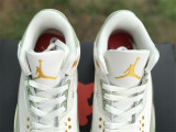Authentic Air Jordan 3 Year-Free Element