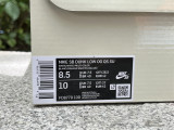 Authentic Supreme x Nike SB Dunk High “Rammellzee”