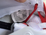 Authentic Nike Dunk Low “All Petals United”