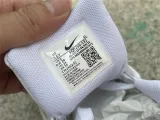 Authentic Nike Air Max 1 “All Petals United”