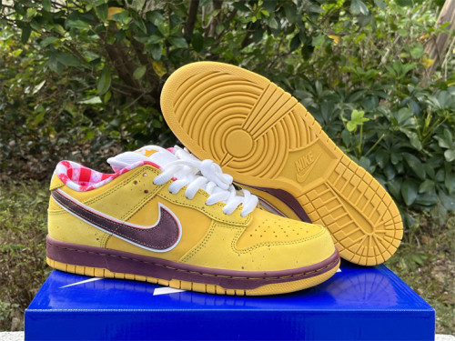 Authentic Nike SB Dunk Low Yellow Ochre/Terra Brown