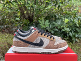 Authentic Nike Dunk Low CO.JP Brown/White