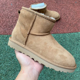 Authentic UGG Ultra Mini (7)