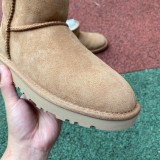 Authentic UGG Ultra Mini (7)