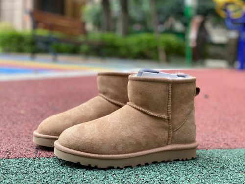 Authentic UGG Ultra Mini (7)