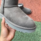Authentic UGG Ultra Mini (8)