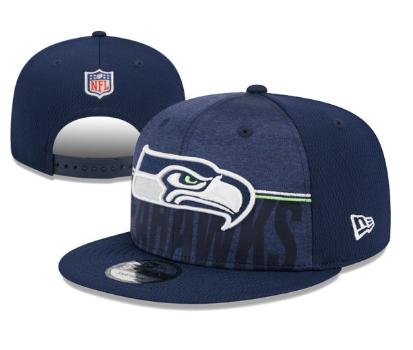 NFL Seattle Seahawks Snapback Hat(10)