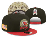 NFL Arizona Cardinals Snapback Hat(1)