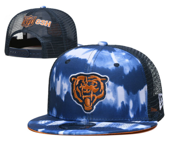 NFL Chicago Bears Snapback Hat(7)