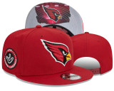 NFL Arizona Cardinals Snapback Hat(11)