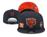 NFL Chicago Bears Snapback Hat(9)