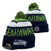 NFL Beanies(197)