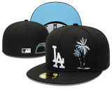 MLB 59Fifty Fitted Hat(8)jpg