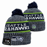 NFL Beanies(102)