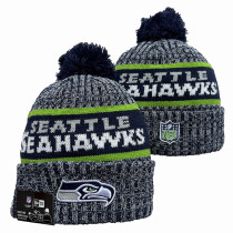 NFL Beanies(36)
