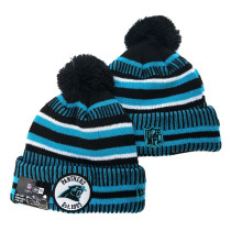 NFL Beanies(225)