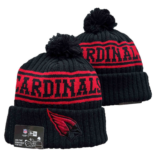 NFL Beanies(55)