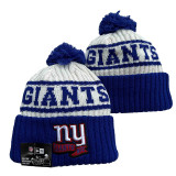 NFL Beanies(170)