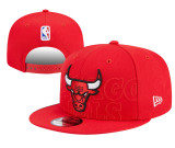 NBA Chicago Bulls Snapback Hat(8)