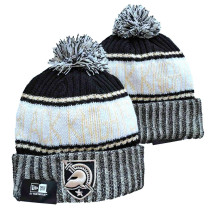 NCAA Beanies (37)