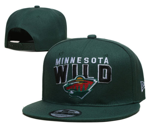 NHL Minnesota Wild Snapback Hat(1)