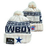 NFL Beanies(231)
