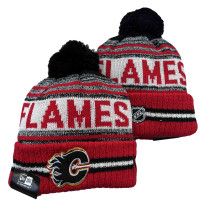 NHL Beanies(30)