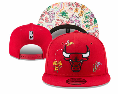 NBA Chicago Bulls Snapback Hat(4)