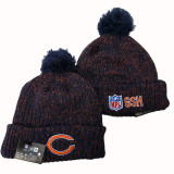 NFL Beanies(110)