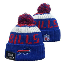 NFL Beanies(60)