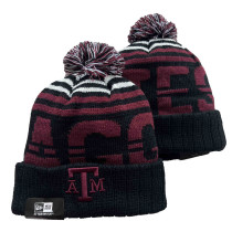 NCAA Beanies (13)