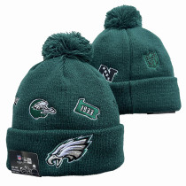 NFL Beanies(33)