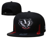 NCAA Wisconsin Badgers Snapback Hat(1)