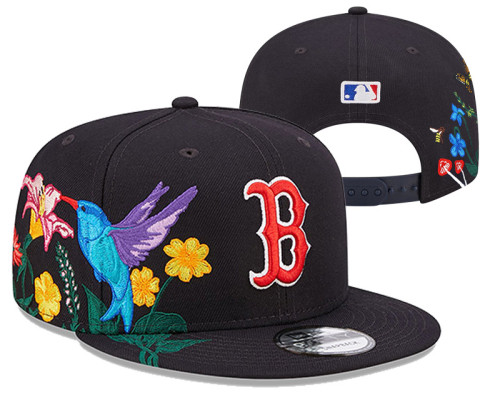 MLB Boston Red Sox Snapback Hat(6)