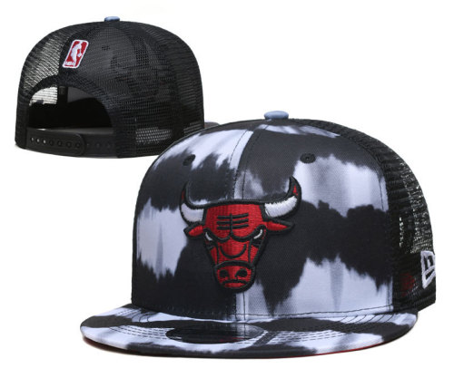 NBA Chicago Bulls Snapback Hat(11)