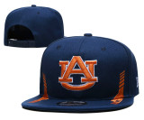 NCAA Auburn Tigers Snapback Hat(2)