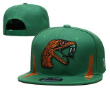 NCAA Florida A&M Rattlers