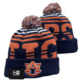NCAA Beanies (36)