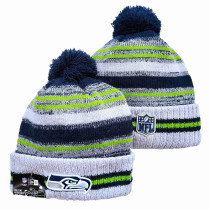 NFL Beanies(235)