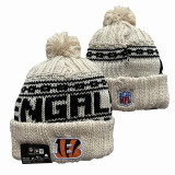 NFL Beanies(16)