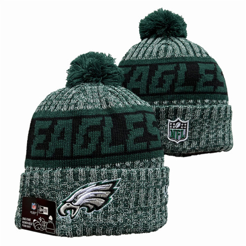NFL Beanies(12)