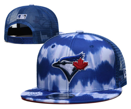 MLB Toronto Blue Jays Snapback Hat(3)