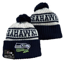 NFL Beanies(140)
