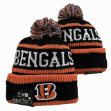 NFL Beanies(108)