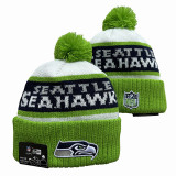 NFL Beanies(9)