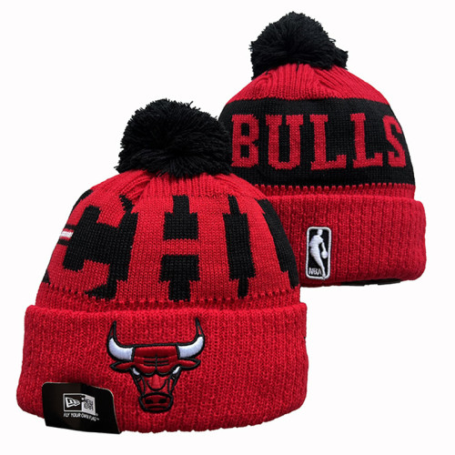 NBA Beanies(53)